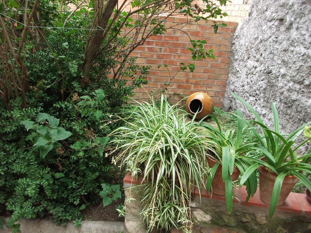 Ca La Paula Villa Pla del Panadés Buitenkant foto
